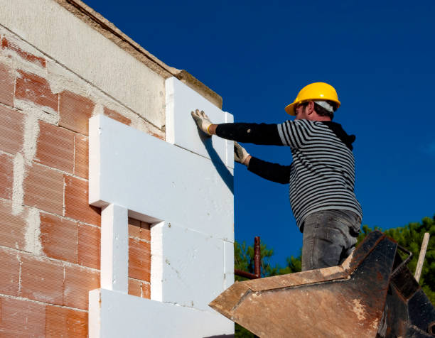 Best Energy Efficiency Solutions in Carrier Mls, IL