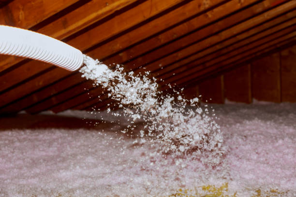 Best Insulation Installation Services in Carrier Mls, IL