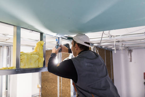 Best Insulation Maintenance and Repair in Carrier Mls, IL