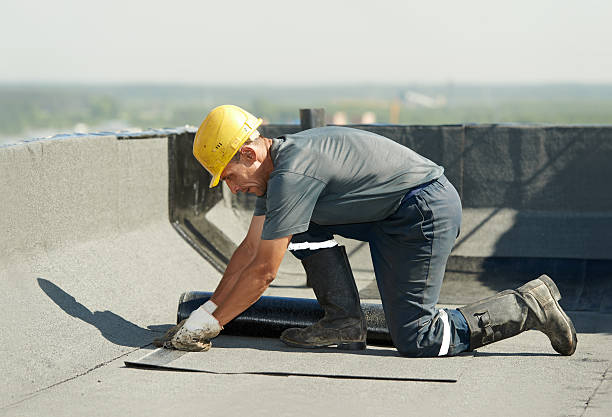 Best Commercial Insulation in Carrier Mls, IL